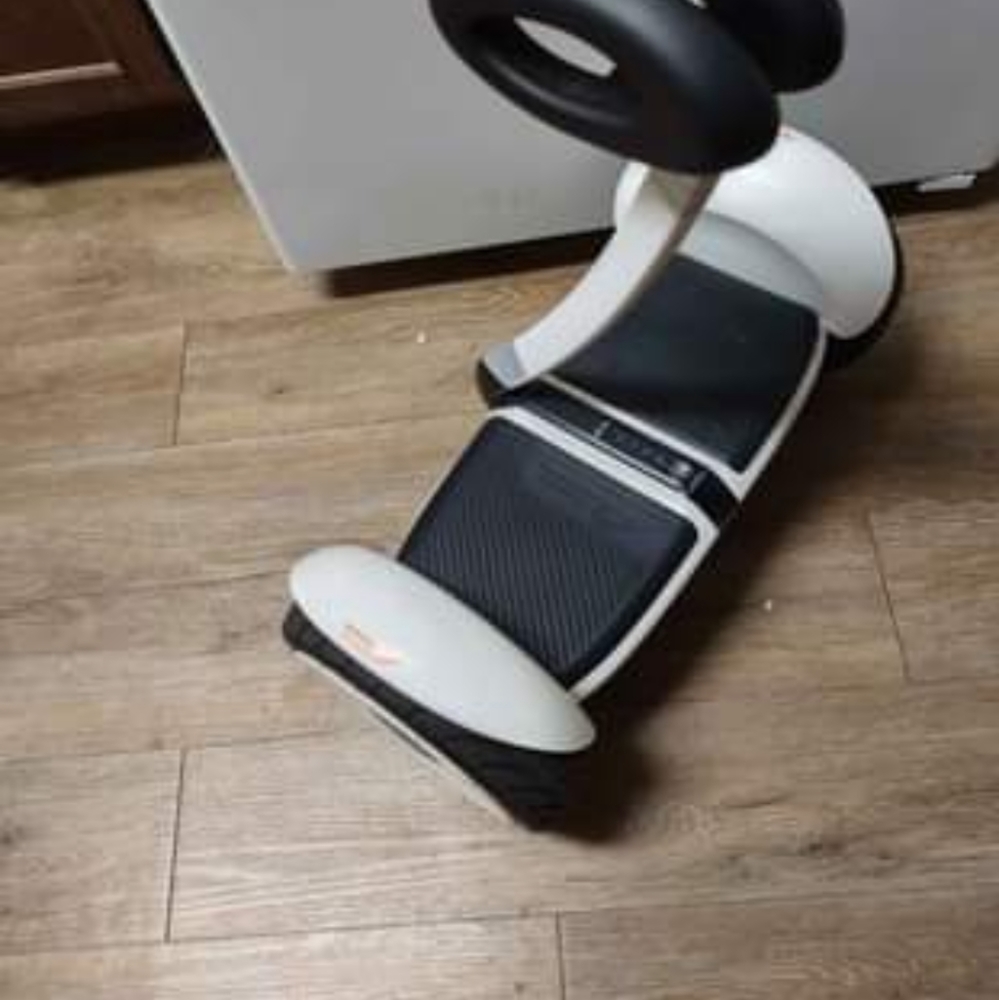 Hoover board minilite